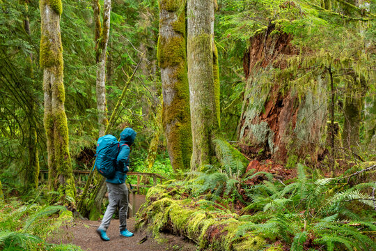 Exploring trails on Vancouver Island, Self Portraits