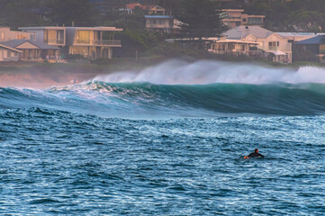 Fototapeta premium Summertime surfs up - early mornings at the beach