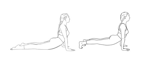 Yoga cobra and upward facing dog poses. Hatha yoga asanas. Sketch vector illustration