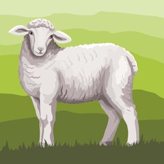 sheep breeding. a young lamb grazes in the meadow. vector illustration isolated on white background - 430068262