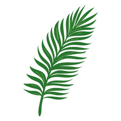 Exotic tropical leaf. Vector hand drawn