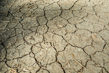 Brown dry cracked ground with dried old leaves. Dried clay texture and patterns cracked surface of clay and land.