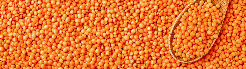 Red lentils and wooden spoon top view close up banner panoramic