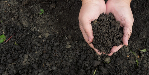 The gardener's female hands hold a handful of soil. Top view. Close-up