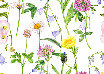 watercolor drawing seamless pattern with daisy flowers