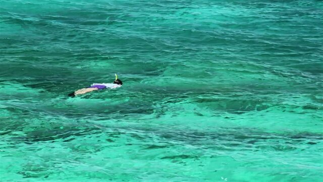 Snorkler swimming under the coral reef in sky-blue sea, Apo Island, Philippines