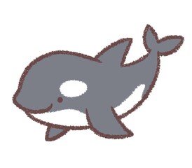 シャチ © kino