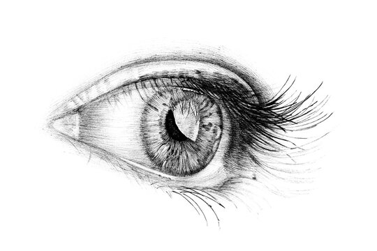 Hand drawn people eye, sketch graphics monochrome illustration on white background