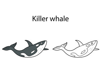 Funny cute animal killer whale isolated on white background. Linear, contour, black and white and colored version. Illustration can be used for coloring book and pictures for children