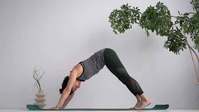The girl the yoga trainer does an asana dog face down. Healthy lifestyle and physical activity concept