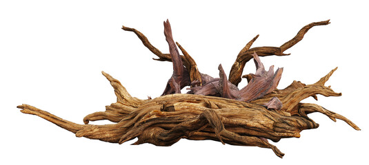 driftwood, pile of aged branches isolated on white background - obrazy, fototapety, plakaty