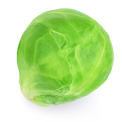 One Brussel Sprout isolated on white background. Fresh raw  brussel cabbage macro.