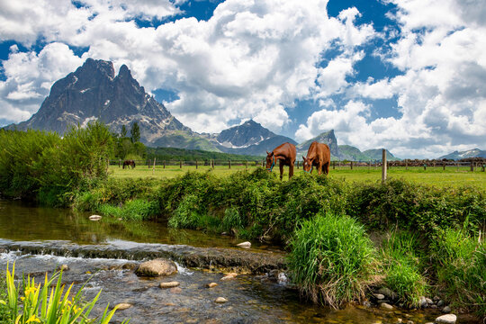 horses with Pic du Midi Ossau in the french Pyrenees mountains