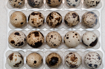 Obraz premium quail eggs in a package, top view