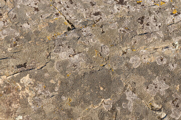 Horizontal Texture of brown stone surface with dents and moss is in the park in sunny day