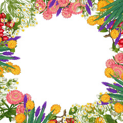 Hand drawn medicinal plant frame. Healing herbs border. isolated on white background