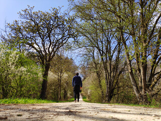 Obraz premium A man walking in woods on a day of beautiful weather in Bavaria in Germany as Spring turns warm.