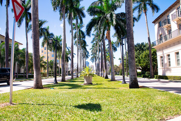 Royal Palm Way boulevard in Palm Beach, Florida