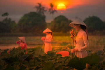 Vietnamese girl picking lotus flowers in pond