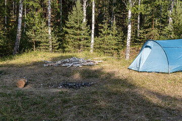 Blue tourist tent and White birch trunks for a bonfire are by a fireplace in the meadow in sunny summer day