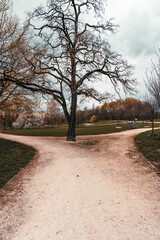 Fototapeta na wymiar Path in the park