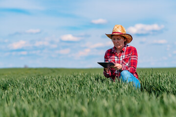 Naklejka na ściany i meble Female farmer agronomist using digital tablet in green wheat field