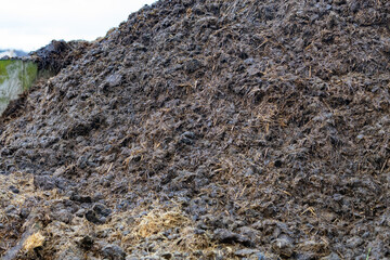 Pile of raw horse manure in the yard. Close-up of pile of manure in the countryside. Detail of heap of manure in field in the yard. Traditional rural scene