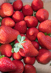 Gruppe von frischen roten Erdbeeren