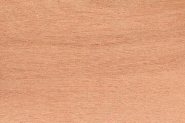 Plywood texture background, wooden surface in natural pattern for design art work.