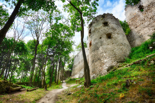 Ruins of castle Dobra Voda - Slovakia
