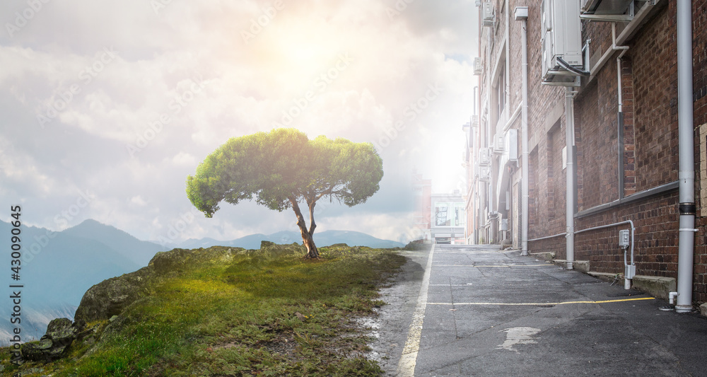 Poster Image of tree and landscape