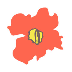 Boho red desert rose flower. Isolated on white background. Flat style vector illustration.