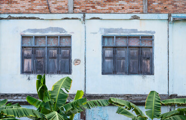 The wooden windows of the old building and the banana leaves in the front.