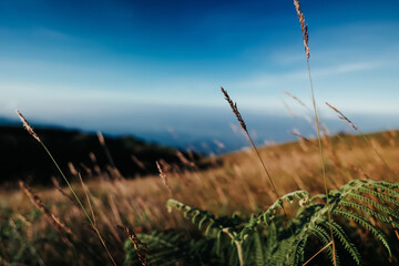 beautiful blue sky high peak mountains green forest guiding for backpacker camping backpacking hiking idea long weekend at Kew Mae Pan Nature Trail Waterfall Doi Inthanon, Chiang Mai, Thailand.