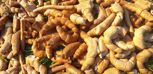 Panorama of discarded bread in the grass on the ground in Italy.