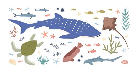 Set of sea and ocean habitats. Bundle of marine fishes, animals and plants. Small fry, whale shark, turtle, stingray, mackerel, algae and corals. Colored flat vector illustration isolated on white