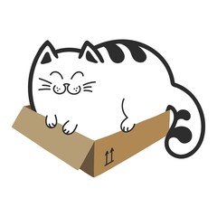 The cat in the box. Hand-drawn cat character. Outline. Isolated on a white background.