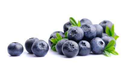 Heap of blueberries with leaves on white backgrounds.