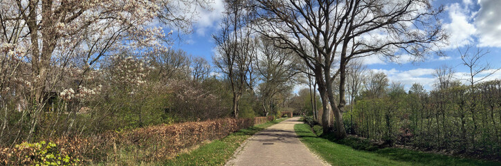 Fototapeta na wymiar Spring and blossoming trees near country road at Westeinde Uffelte Drenthe Netherlands. Village. Panorama. Country life.