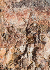 The textured surface of red rock.