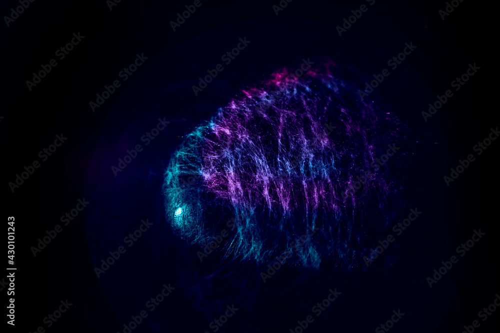 Poster beautiful abstract web light pastel magic. background pattern for design. macro photography view.