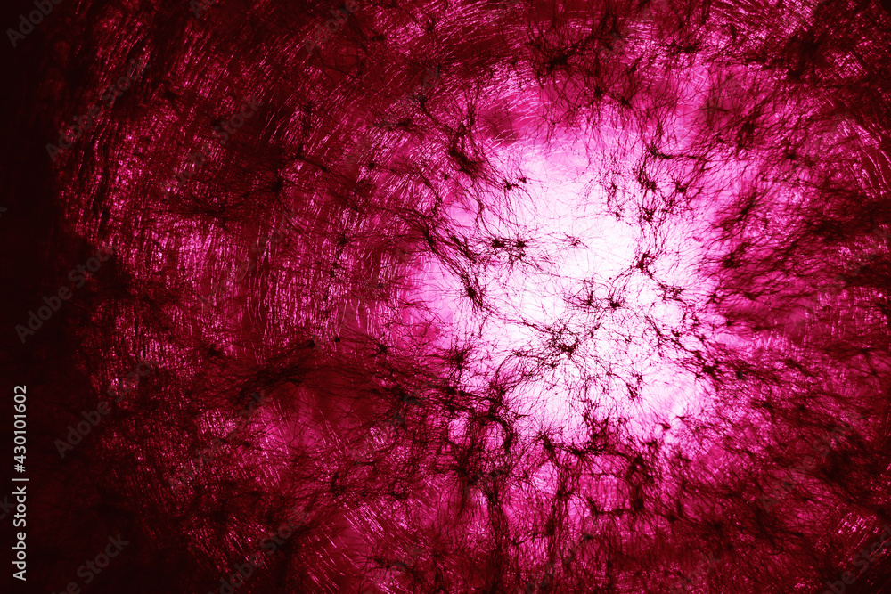 Aufkleber Beautiful abstract texture circle in  purple light. Background pattern for design. Macro photography view.