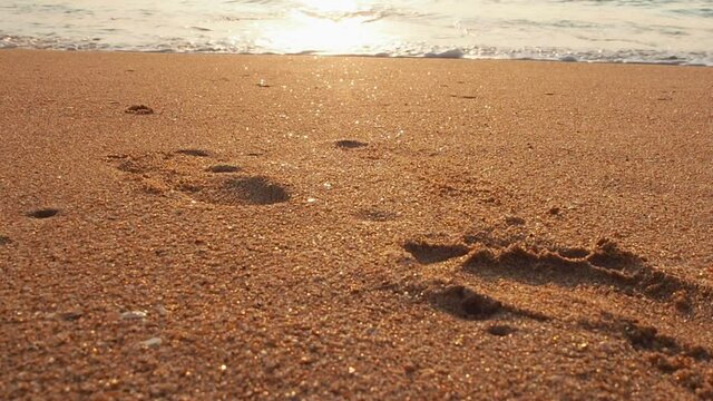 footprint on a sunshine golden sandy beach, slow motion of pretty glittering ocean waving washing golden sandy beach, the sunlight, sunbeam shine on the sand. summer tropical beach nature background