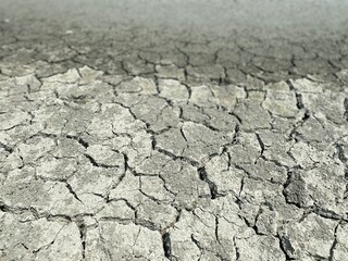 Mudcracks (also known as mud cracks, desiccation cracks or cracked mud) are sedimentary structures...