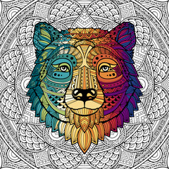 Patterned bear head in the zentangle style of a white background passing with colorful gradient. Tribal ornament painted by hand. Series ethnic animals. African, Indian. Mandala. Ornament. Vector.