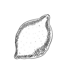 carrot, apple, lemon, orange, pear, line drawing, color drawing