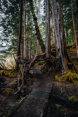 Hiking around Sitka, Alaska. 