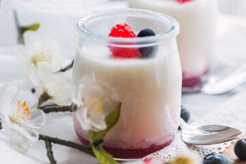 Greek yogurt with raspberries and blueberries in glass jars