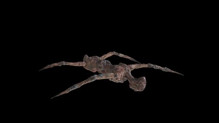 Siamese twins 3D Render