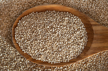 Wooden cooking spoon full of quinoa seeds resting against a quinoa seeds background, nutritious ancient grain crop, source of protein and fiber used in breakfast bowls and both savory and sweet snacks